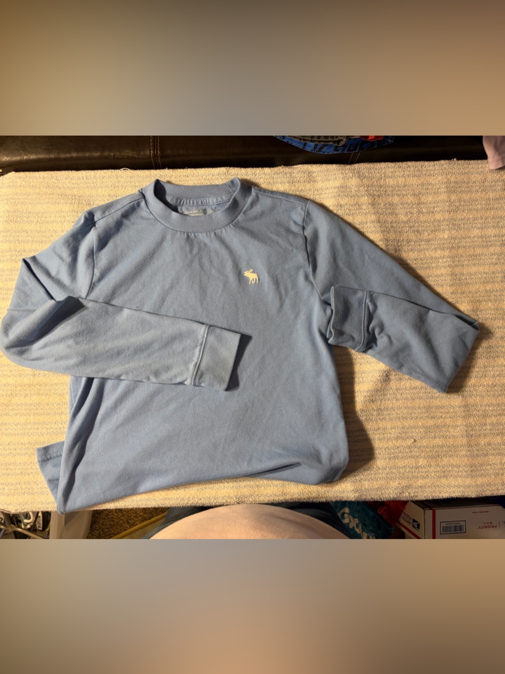 abercrombie kids Powder Blue Long Sleeve Crewneck with Embroidered Moose